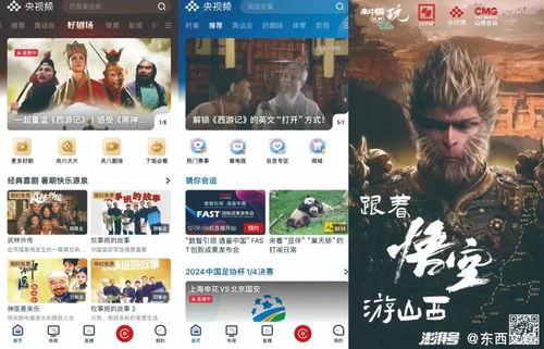 视频国产精品,匠心独运，光影交织的艺术盛宴